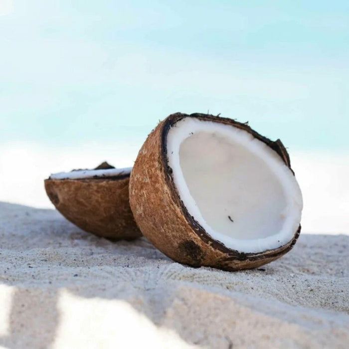 Butter Jar Candle, Small - White Driftwood & Coconut