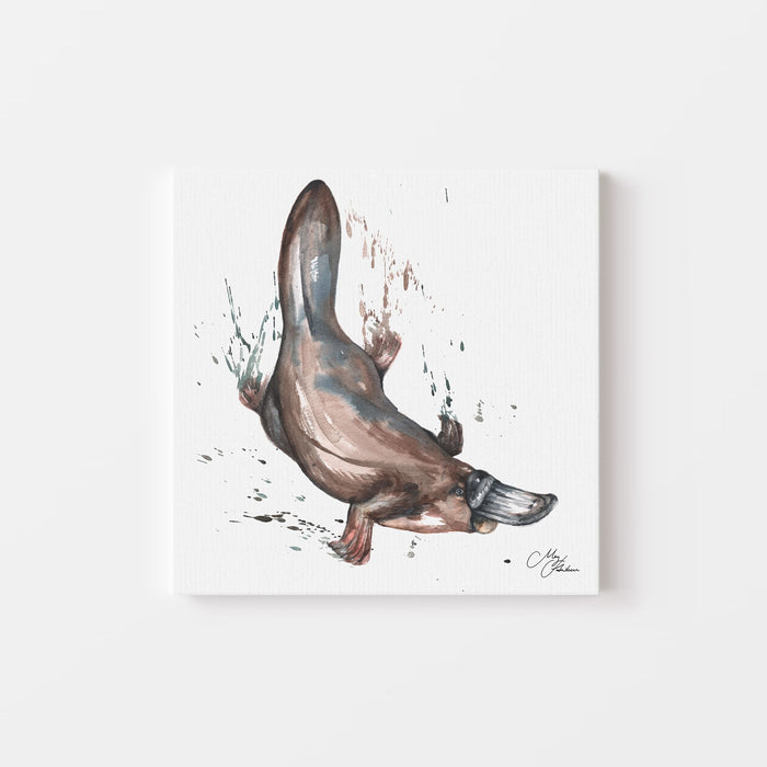 Platypus Watercolour Canvas