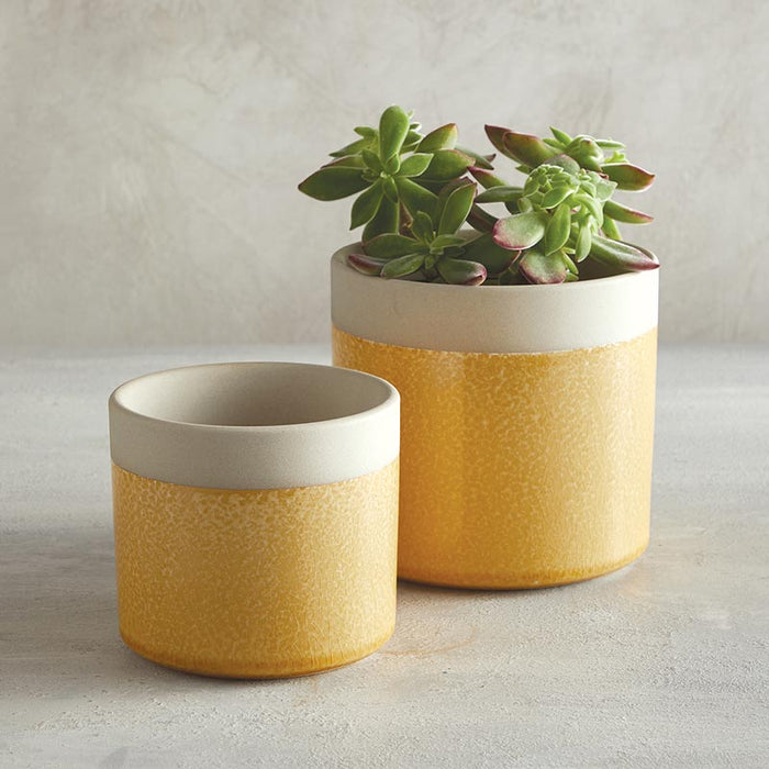 Yellow Two Tone Planter - Size: Small