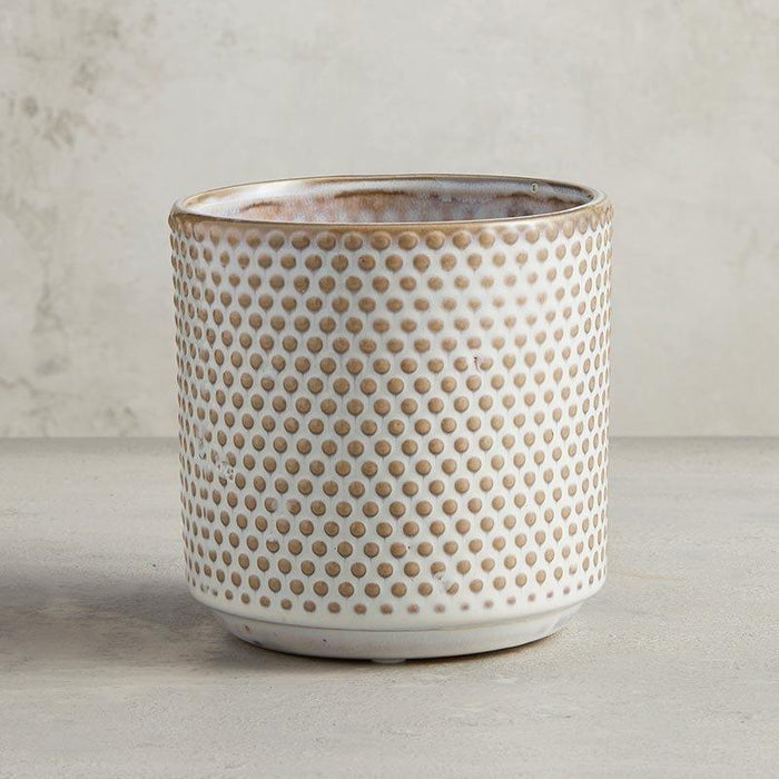 Dotted Planter - Size: Small