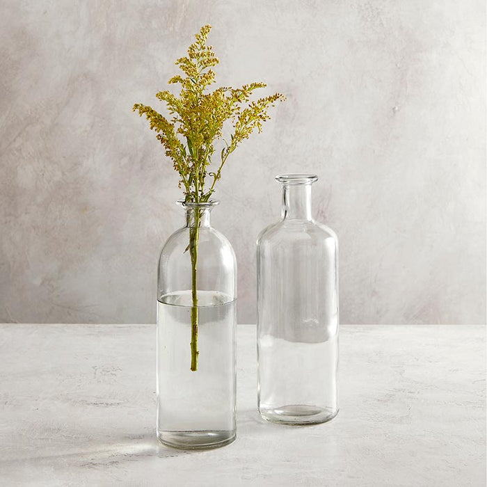 Clear Glass Vase - Size: Small