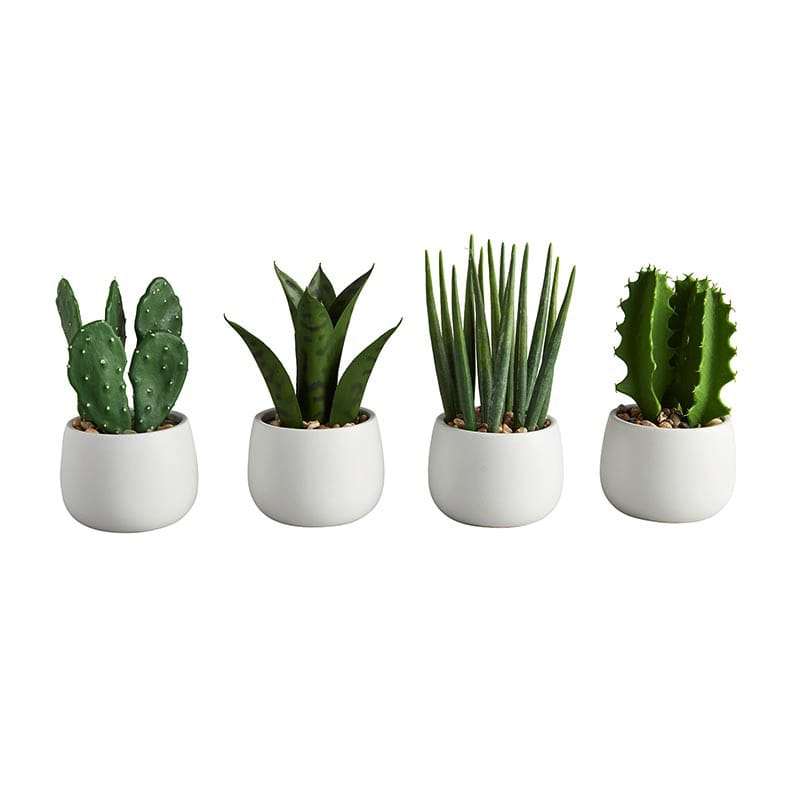 White Pot Cactus Set — Artisanau (AU)