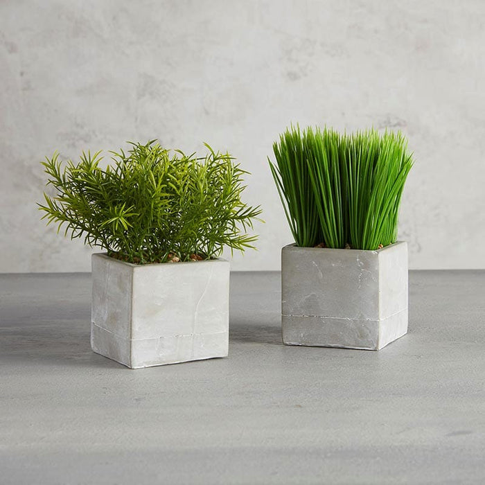 Artificial Plant Set - Square Pot - Grass