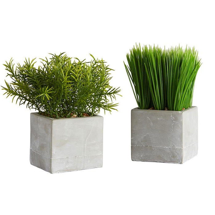 Artificial Plant Set - Square Pot - Grass