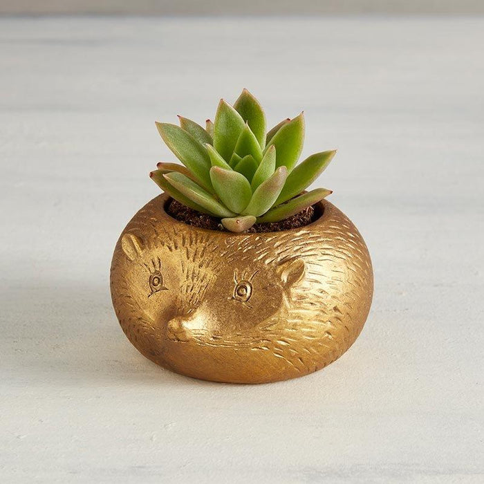 Metallic Mole Planter