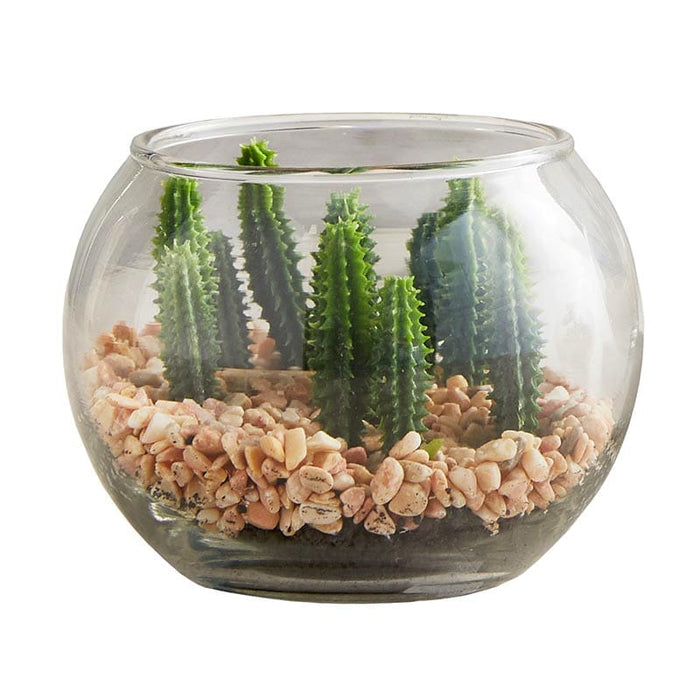 Succulent In Glass Pot - Set Of 3