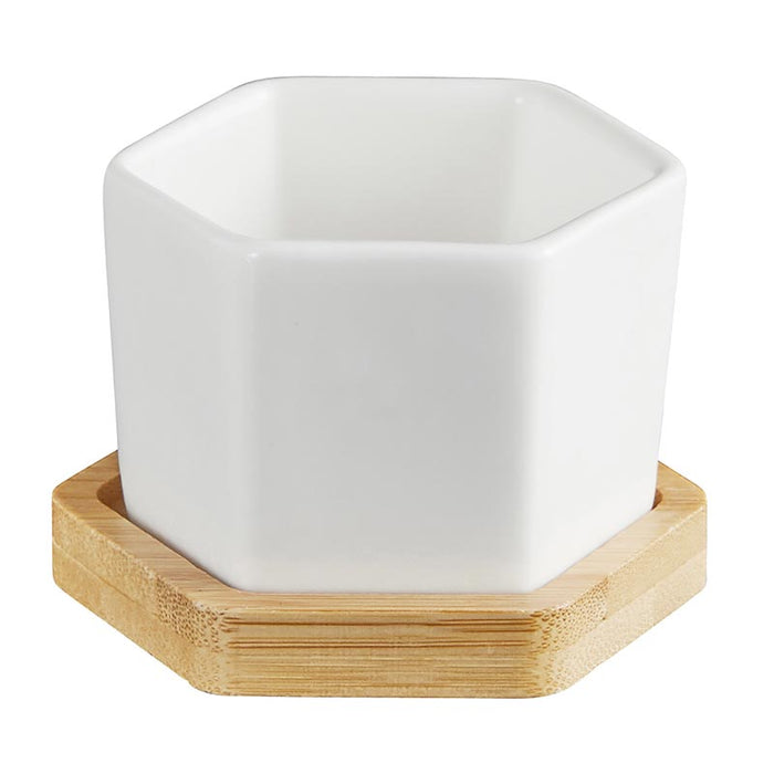 Hexagon Planter With Wood Base