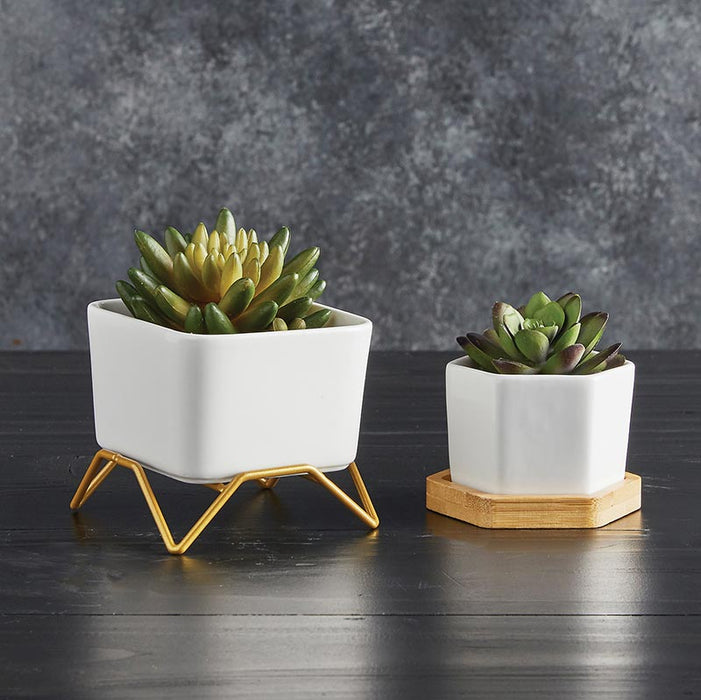 Hexagon Planter With Wood Base