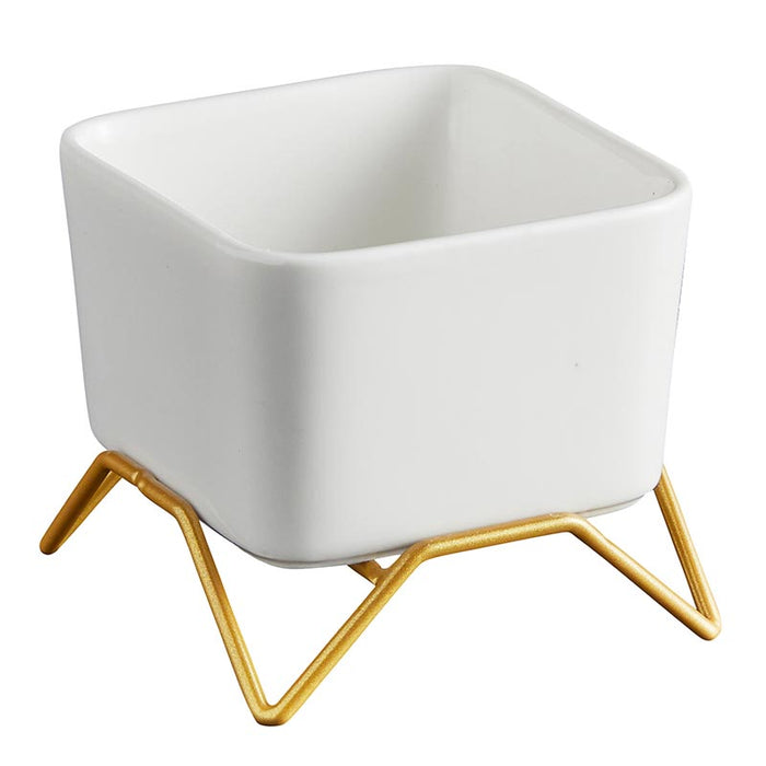 Square Pot With Gold Stand