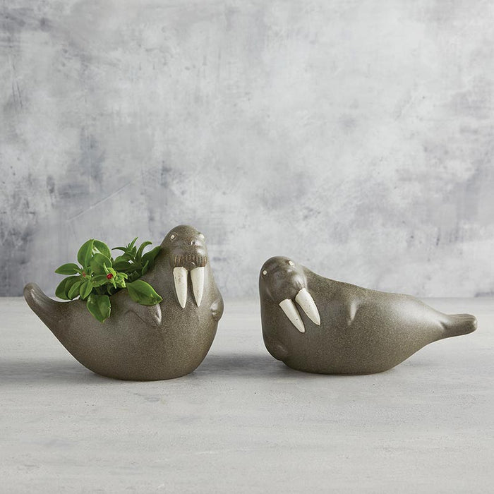 Ceramic Walrus Planter - Laying