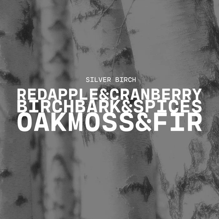 Signature Statement Candle - Silver Birch