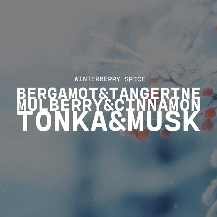 Farmhouse Mason Jar Candle - Winterberry Spice