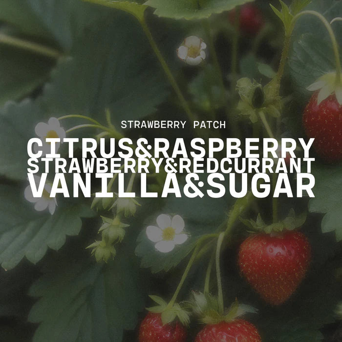 Farmhouse Mason Jar Candle - Strawberry Patch