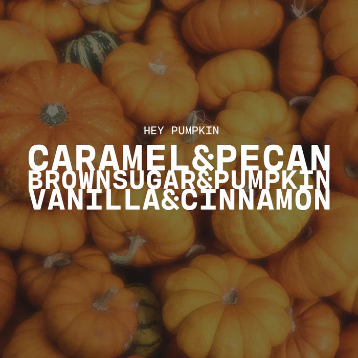 Creamery Fragrance Melts - Hey, Pumpkin!