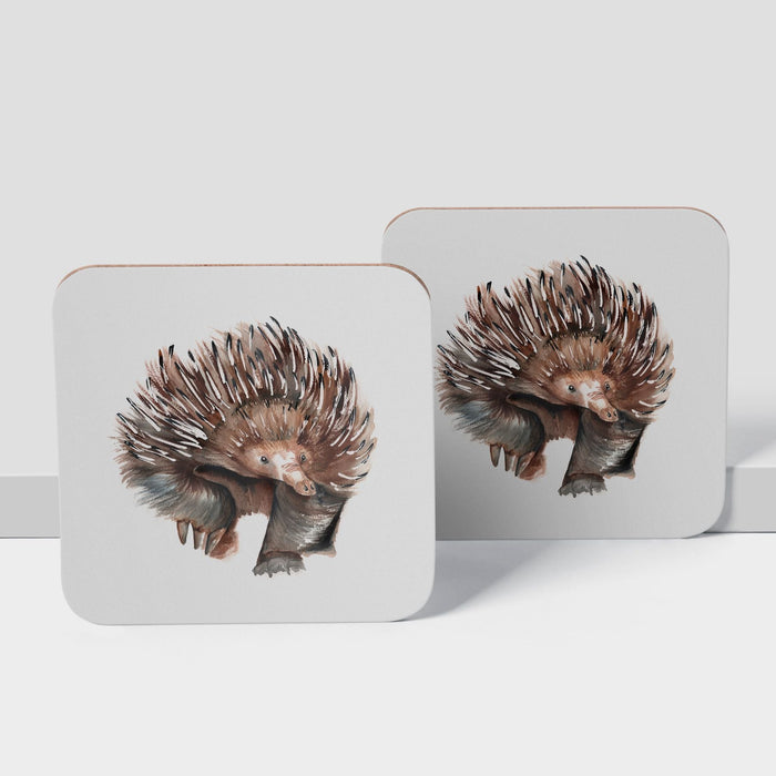 Echidna Design Coaster