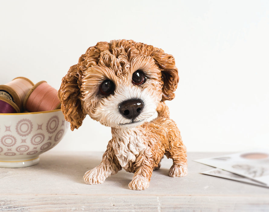 Molly Cavachon, Collectable