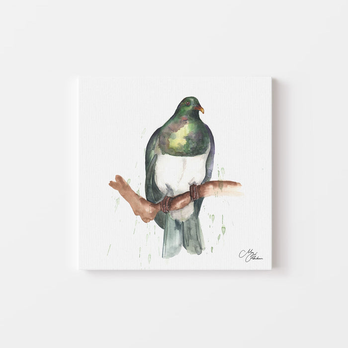 Kereru Watercolour Canvas