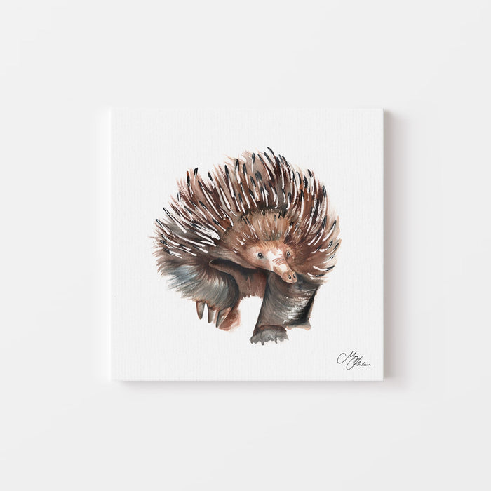 Echidna Watercolour Canvas