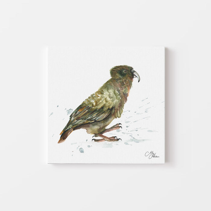 Kea Watercolour Canvas