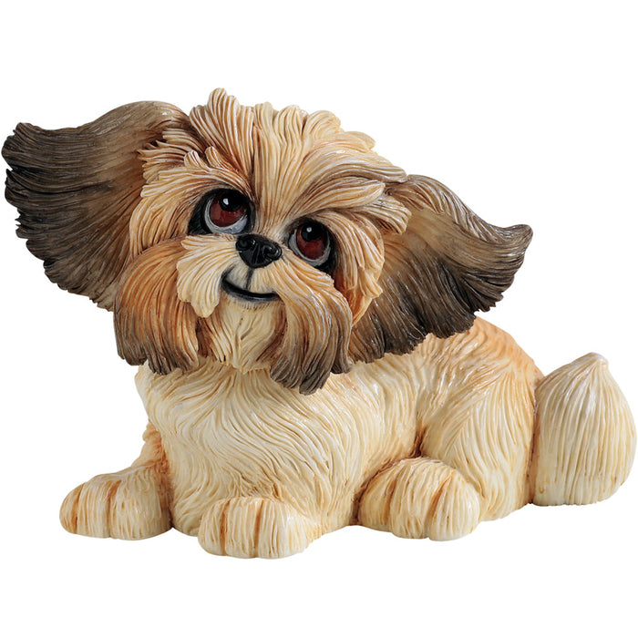 Gizmo Shih-Tzu, Collectable