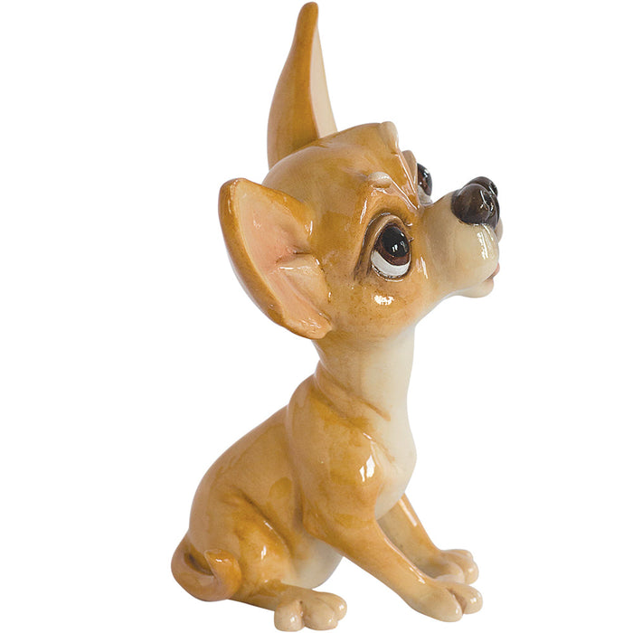 Pixie Chihuahua, Collectable